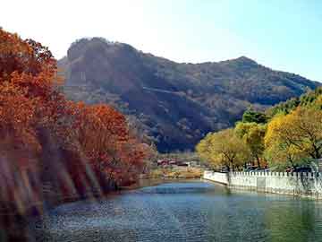 奥门天天开奖免费资料，国产耐磨板